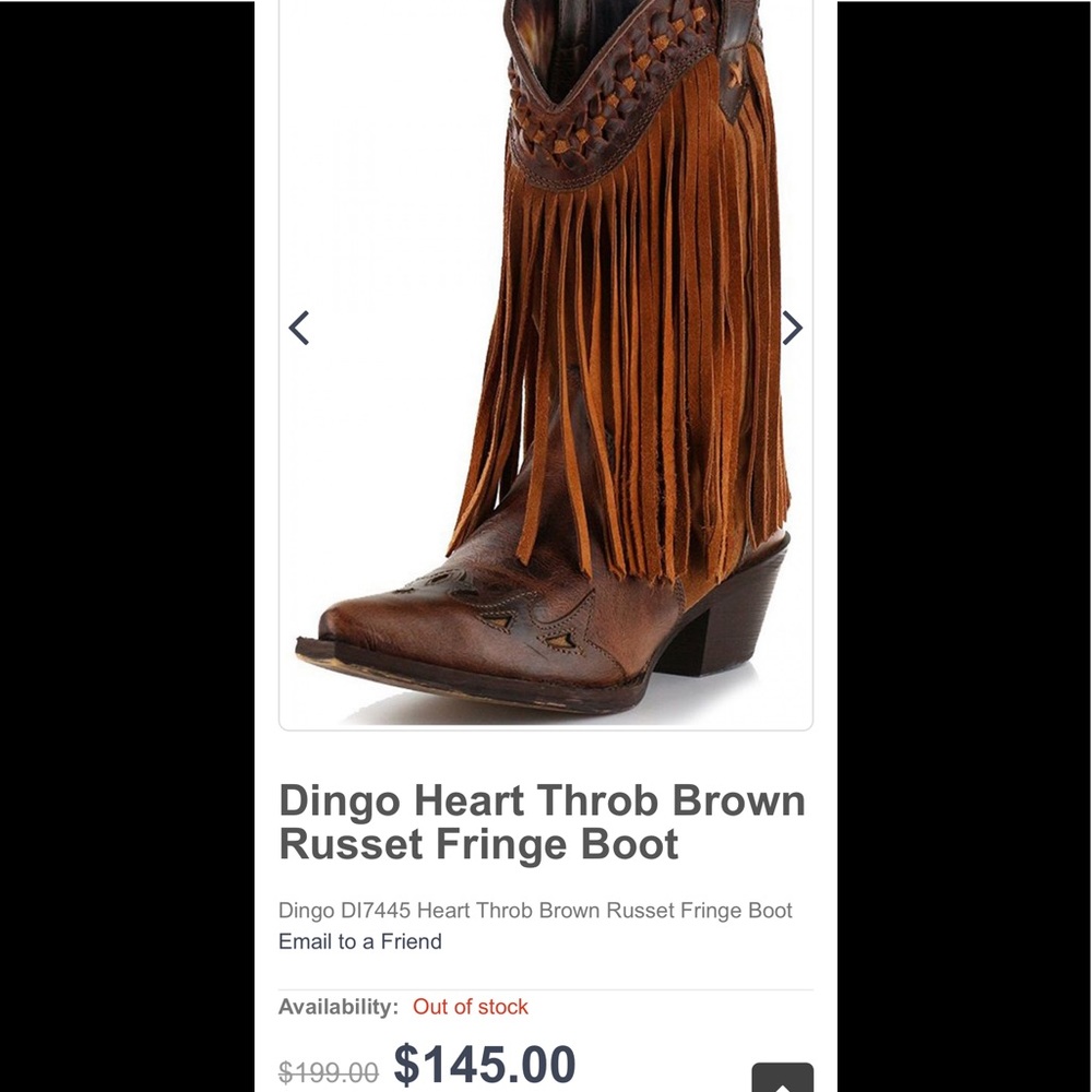 Dingo fringe boots💋